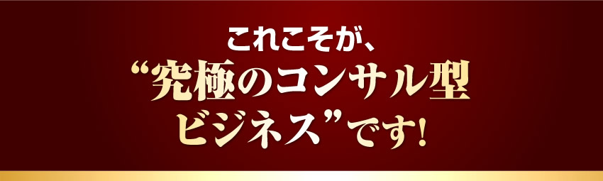 これこそが、究極のコンサル型ビジネスです！